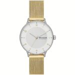 Skagen Denmark Riis (SKW3092) Women's Watch