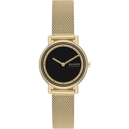 Skagen Signatur Lille (SKW3111) Women's Watch