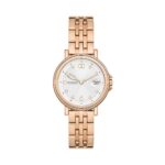 Skagen Signatur Lille (SKW3136) Women's Watch