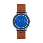 Skagen Signatur (SKW6899) Men's Watch
