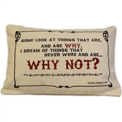 Cuscini Letterari - Copricuscino In Juta Lavata / Cotton Pillow Case Why Not - Size 38x25cm (SLEEP-C-05) Unisex FASHION ACCESSORIES