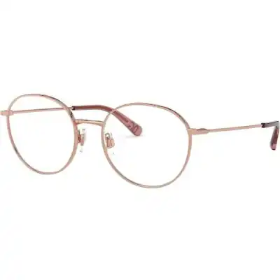 Dolce & Gabbana Slim Dg 1322 (SLIM DG 1322_1298_53) Women EYEWEAR