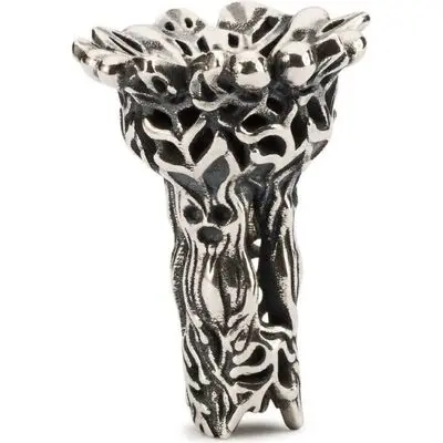 Trollbeads Tagpe-00082 (TAGPE-00082)  JEWELRY