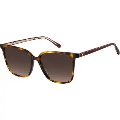 Tommy Hilfiger Th 2292_s (TH 2292_S_05L-HA_55) Women EYEWEAR