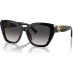 Ralph Lauren The Isabel Rl 8216u (THE ISABEL RL 8216U_5001-8G B_55) Women EYEWEAR