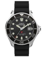 Timex Meridian (TW2W81600)  Watch