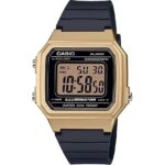 Casio Sport Collection (W-217HM-9AVDF) Unisex WATCHES