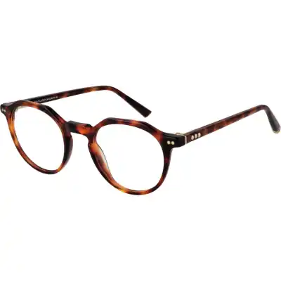 Taylor Morris W6 48c3 (W6 48C3) Unisex EYEWEAR