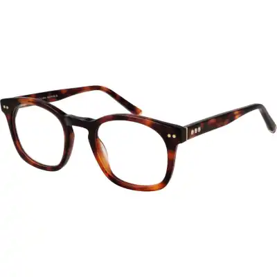 Taylor Morris W8 49c3 (W8 49C3) Unisex EYEWEAR