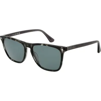 Web We0363 5520v (WE0363 5520V) Men EYEWEAR