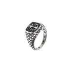 Albert M. jewels Men's Ring (wsox00171-anc-22)