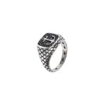 Albert M. jewels Men's Ring (wsox00171-anc-24)