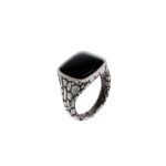 Albert M. jewels Men's Ring (wsox00575-bo-22)