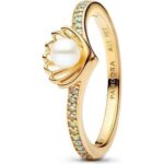 Pandora Jewelry 163654c01-50 (163654C01-50)  JEWELRY