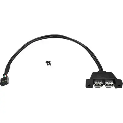 ASRock DESKMINI 2 x USB 2.0 Interface Adapter Cable