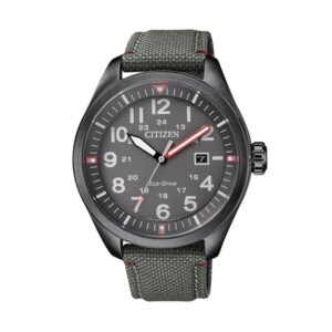Citizen Watches Aw5005-39h (AW5005-39H) Men's Watch