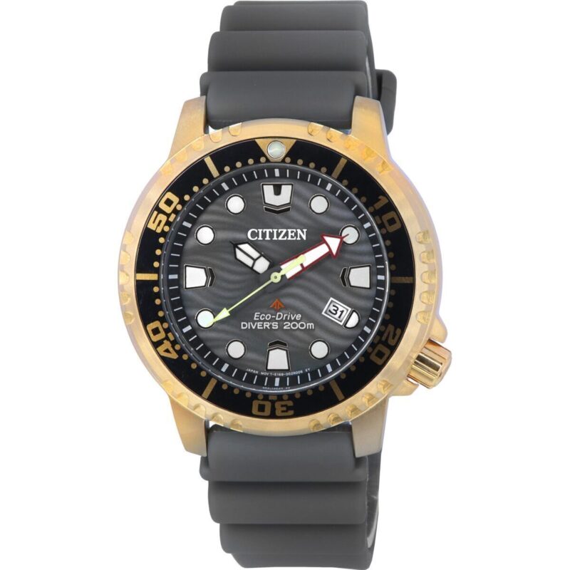 BN0163-00H Citizen Promaster Grey Dial Eco-Drive Diver's BN0163-00H 200M Men's Watch