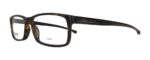 Hugo Boss Unisex Eyeglasses (Boss0877-P0I-55)