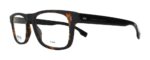 Hugo Boss Unisex Eyeglasses (Boss0928-N9P-50)