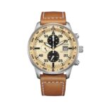 Citizen Watches Ca0880-15x (CA0880-15X)  Watch