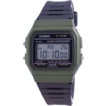Casio Classic Daily Alarm F-91wm-3a F91wm-3a Men's Watch