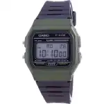 Casio Classic Daily Alarm F-91WM-3A F91WM-3A Men's Watch