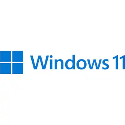 MICROSOFT WIN 11 PRO 64BIT DSP