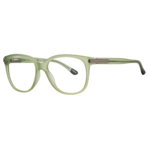 Gant Unisex Eyeglasses (GA4028 53L82)