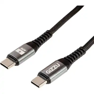 GIZZU 60W 480Mbps Type-C 2m Cable
