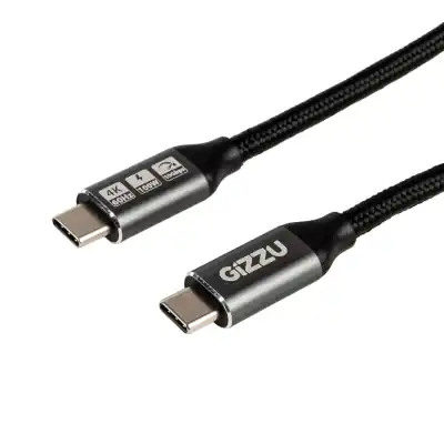 GIZZU 100W 10Gbps Type-C 1m Cable