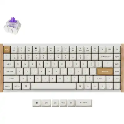 Keychron K2 HE Wireless Special Edition Magnetic Custom Keyboard | NEBULA Switch – White