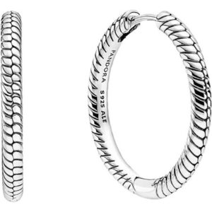 Pandora Moments Charm Hoop Earrings 299532C00 For Women