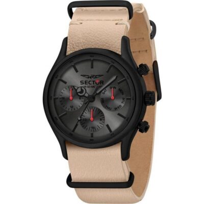 Sector 660 Gun/Sunray Dial Leather Strap Quartz R3251517006 Men's Watch
