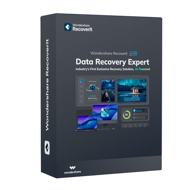 Wondershare Recoverit Data Recovery Expert for Windows Individual (Digital Annual License)