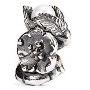 Trollbeads Tagbe-00031 (TAGBE-00031)  JEWELRY