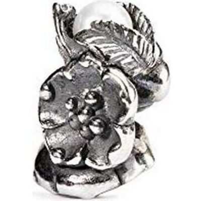 Trollbeads Tagbe-00031 (TAGBE-00031) Unisex JEWELRY