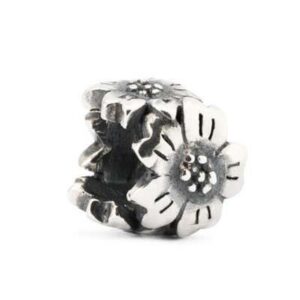 Trollbeads Tagbe-10031 (TAGBE-10031)  JEWELRY