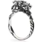 Trollbeads Tagri-00304 (TAGRI-00304) Unisex JEWELRY