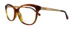 Chopard Men's Eyeglasses (VCH243S-0G14-53)
