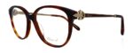 Chopard Women's Eyeglasses (VCH245S-0G21-53)