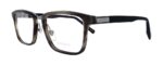 Chopard Men's Eyeglasses (VCH252-09T8-53)