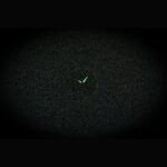 Casio Analog Stainless Steel Black Dial Quartz LTP-1303DD-1AV Women's Watch