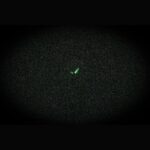 Casio Analog Stainless Steel Pink Dial Quartz LTP-1303DD-4AV Women's Watch