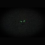 Casio Baby-G Analog Digital Resin Strap Pink Dial Quartz BA-110AH-4A 100M Women's Watch