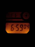 Casio DW-291H-9AV Quartz 200M Men's Watch