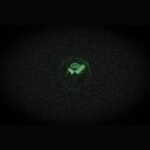 Fossil Crosby Stainless Steel Grey Dial Quartz FS6122 Men's Watch