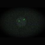 Casio Edifice Analog Digital NISMO Heritage Edition Smartphone Link Silver Dial Quartz ECB-S10NIS-7A 100M Men's Watch