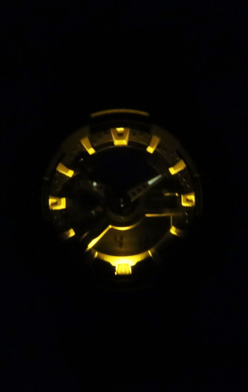 Casio G-Shock Analog Digital Bio-Based Resin Black Dial Quartz GA-110RL-1A 200M Men's Watch