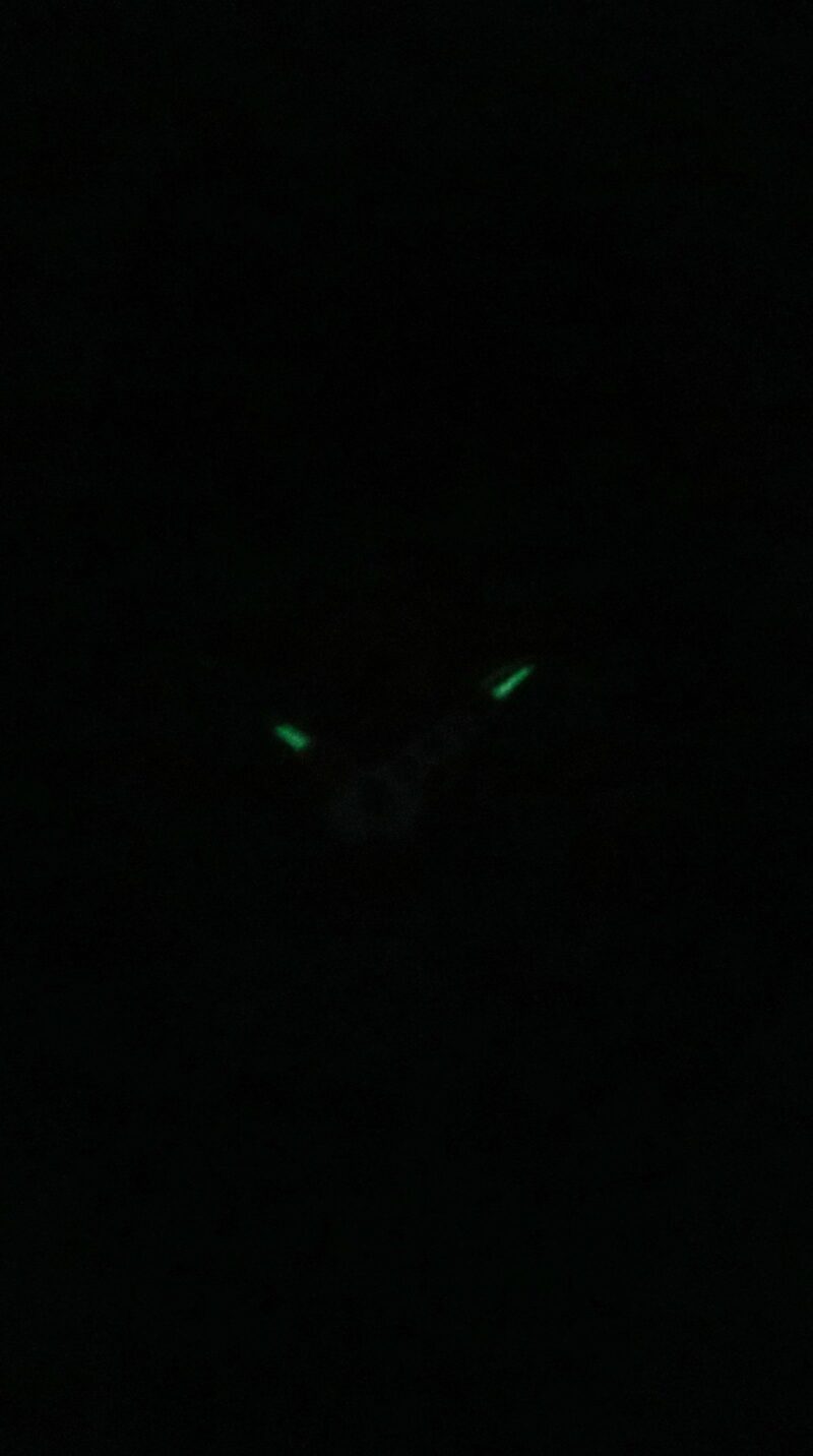 Casio G-Shock Analog Digital Resin Strap Multicolor Dial Quartz GA-100FL-8A 200M Men's Watch