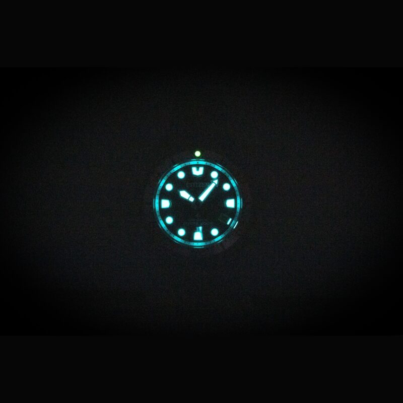 Citizen Promaster Dive Stainless Steel Red Dial Eco-Drive EO2027-50Z 200M Women's Watch